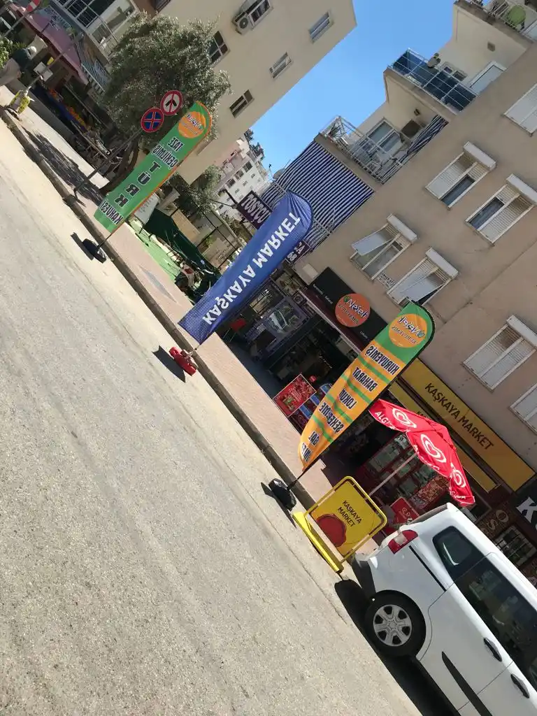 Kuruyemiçi Olta Bayrağı-13