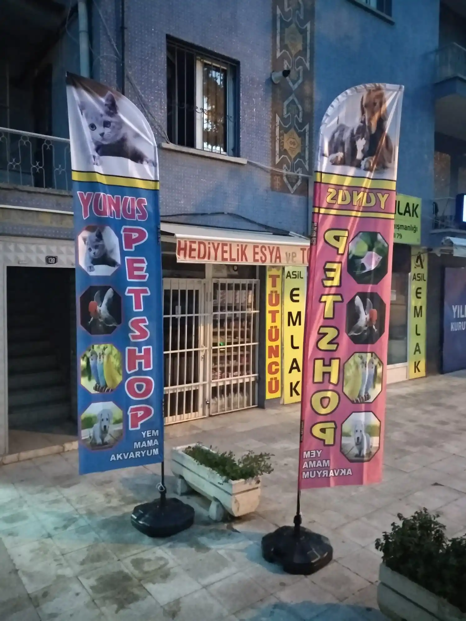 Petshop Olta Bayrağı-10