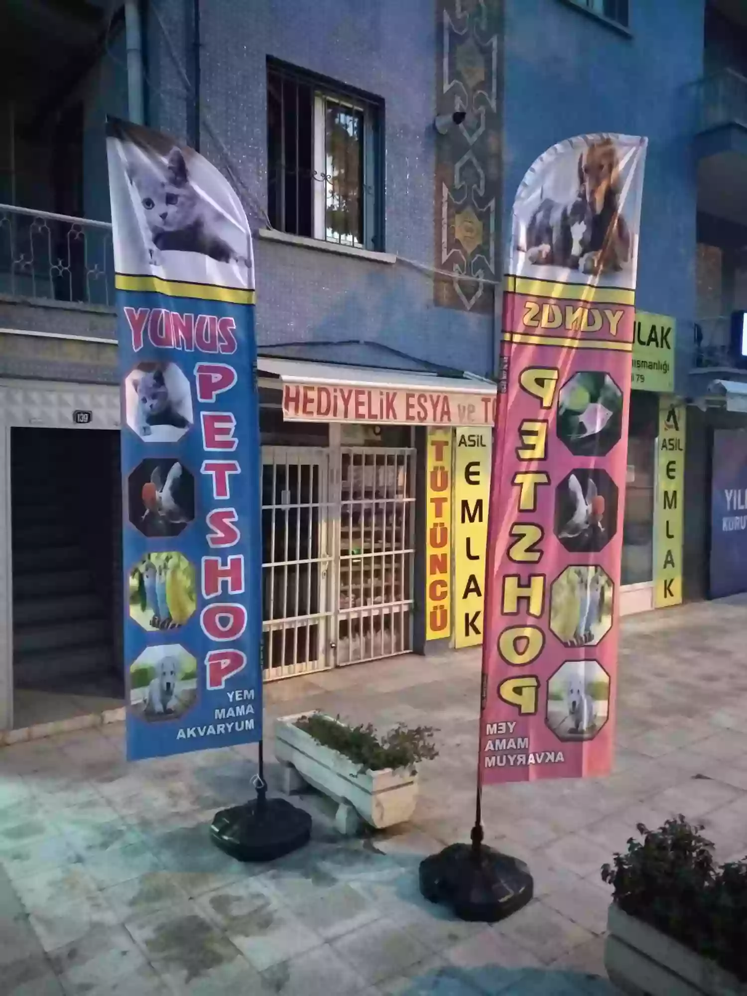 Petshop Olta Bayrağı-21