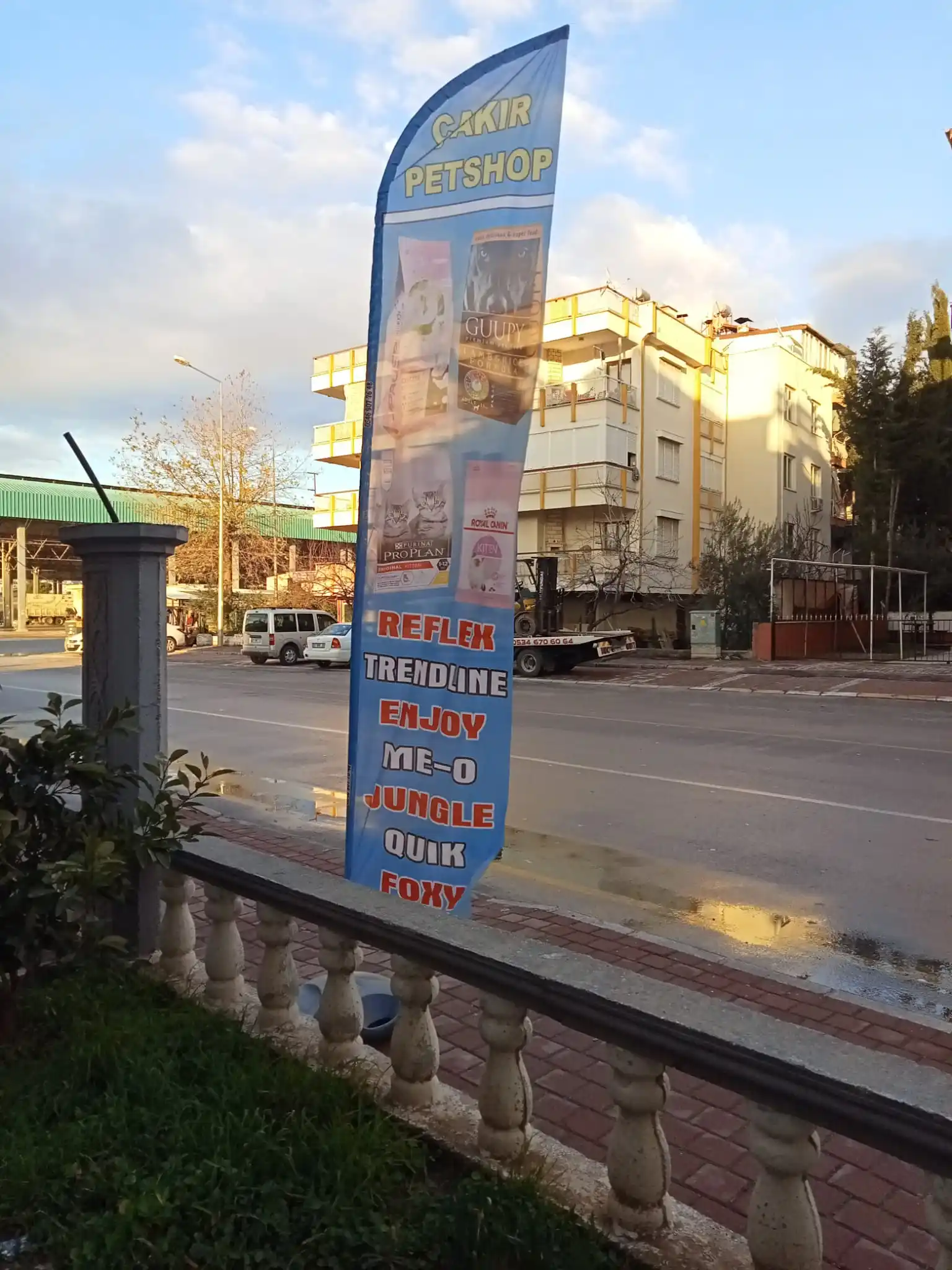 Petshop Olta Bayrağı-26